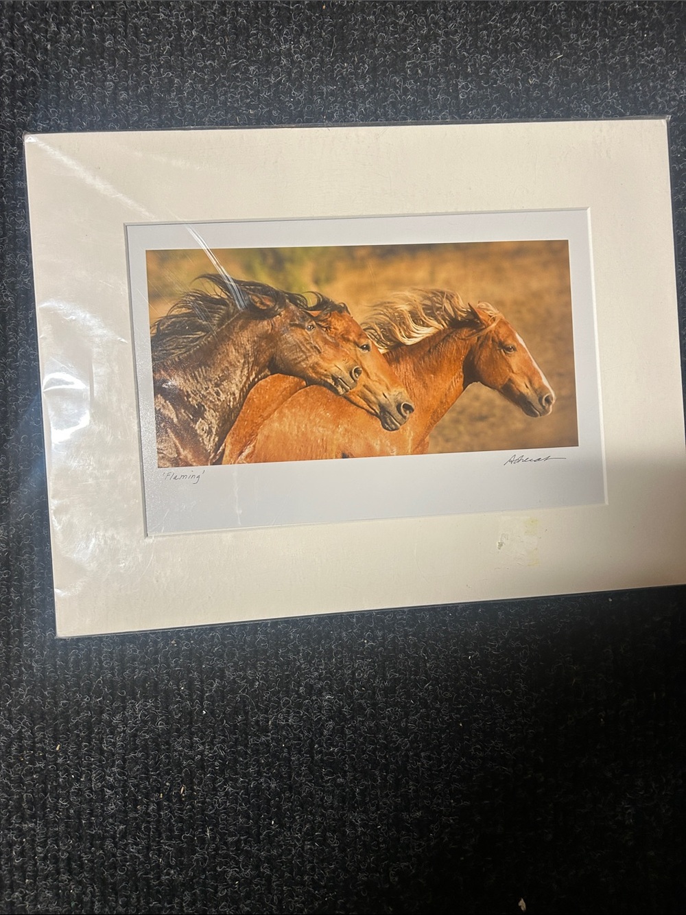 Wild Horses Framed Art Print - Brown